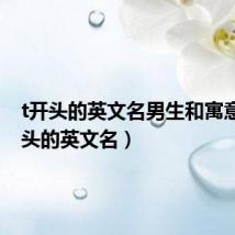 t开头的英文名男生和寓意(t开头的英文名)