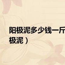 阳极泥多少钱一斤（阳极泥）