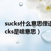 sucks什么意思俚语(sucks是啥意思)