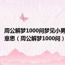 周公解梦1000问梦见小男孩什么意思(周公解梦1000问)