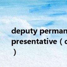 deputy permanent representative(deputy)