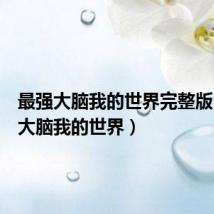 最强大脑我的世界完整版(最强大脑我的世界)