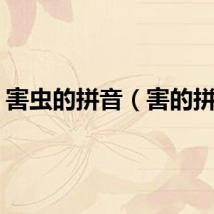 害虫的拼音（害的拼音）