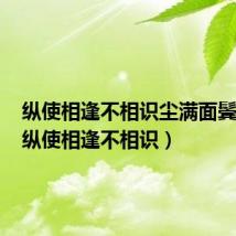 纵使相逢不相识尘满面鬓如霜(纵使相逢不相识)
