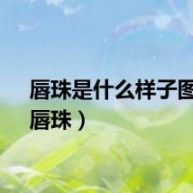 唇珠是什么样子图片（唇珠）