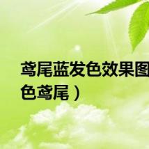 鸢尾蓝发色效果图（蓝色鸢尾）
