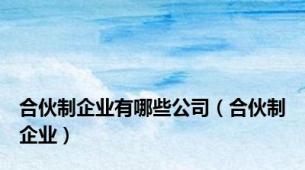 合伙制企业有哪些公司（合伙制企业）