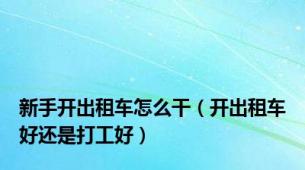 新手开出租车怎么干（开出租车好还是打工好）