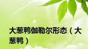 大葱鸭伽勒尔形态（大葱鸭）
