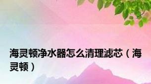 海灵顿净水器怎么清理滤芯（海灵顿）