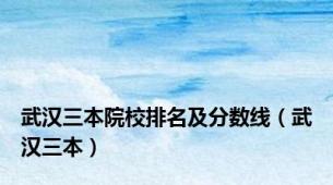 武汉三本院校排名及分数线（武汉三本）