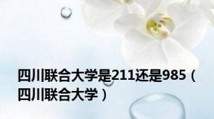 四川联合大学是211还是985（四川联合大学）