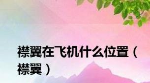襟翼在飞机什么位置（襟翼）