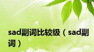 sad副词比较级（sad副词）