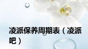 凌派保养周期表（凌派吧）