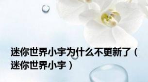 迷你世界小宇为什么不更新了（迷你世界小宇）