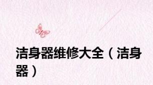 洁身器维修大全（洁身器）