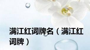 满江红词牌名（满江红词牌）