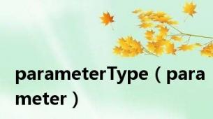 parameterType（parameter）