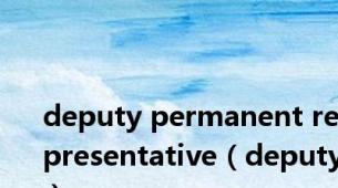 deputy permanent representative（deputy）