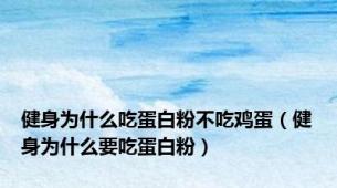 健身为什么吃蛋白粉不吃鸡蛋（健身为什么要吃蛋白粉）