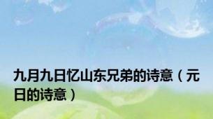 九月九日忆山东兄弟的诗意（元日的诗意）