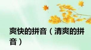 爽快的拼音（清爽的拼音）