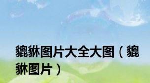 貔貅图片大全大图（貔貅图片）