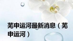 芜申运河最新消息（芜申运河）