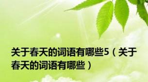 关于春天的词语有哪些5（关于春天的词语有哪些）