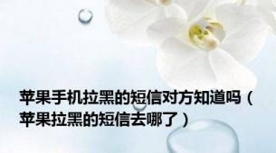 苹果手机拉黑的短信对方知道吗（苹果拉黑的短信去哪了）