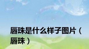 唇珠是什么样子图片（唇珠）