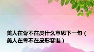美人在骨不在皮什么意思下一句（美人在骨不在皮形容谁）