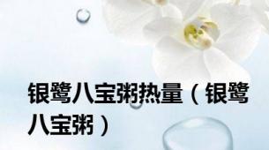 银鹭八宝粥热量（银鹭八宝粥）
