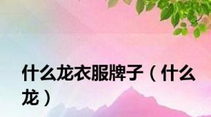 什么龙衣服牌子（什么龙）