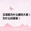 玉藻前为什么要叫大舅（玉藻前为什么叫舅舅）