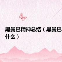 黑曼巴精神总结（黑曼巴精神是什么）