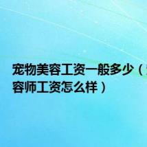 宠物美容工资一般多少(宠物美容师工资怎么样)