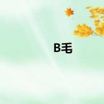 B毛