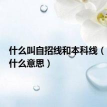 什么叫自招线和本科线(自招线什么意思)