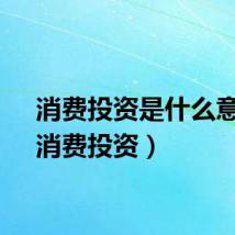 消费投资是什么意思（消费投资）