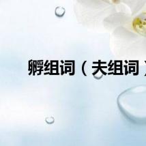 孵组词（夫组词）