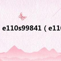 e110s99841（e110s）