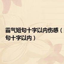 霸气短句十字以内伤感(霸气短句十字以内)