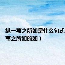 纵一苇之所如是什么句式(纵一苇之所如的如)