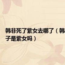 韩非死了紫女去哪了(韩非的妻子是紫女吗)