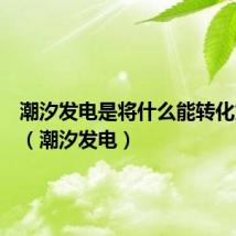 潮汐发电是将什么能转化为电能(潮汐发电)