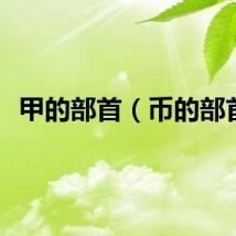 甲的部首（币的部首）