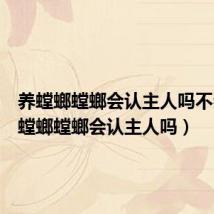 养螳螂螳螂会认主人吗不会(养螳螂螳螂会认主人吗)