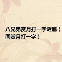 八兄弟赏月打一字谜底(八兄弟同赏月打一字)